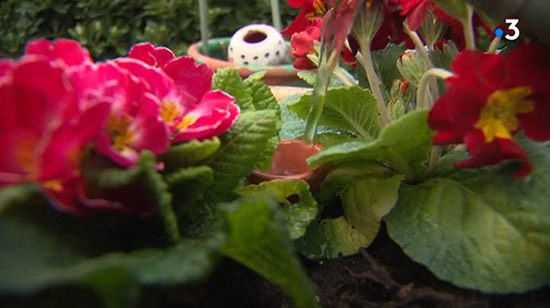 Reportage sur France 3