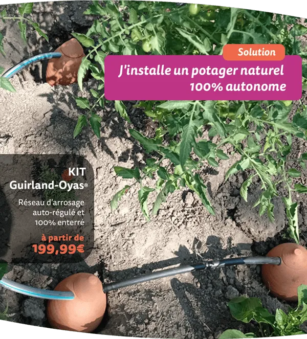 Potager naturel